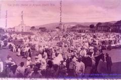 T-1903c_AñascoMercadPlazAnotArmstrng