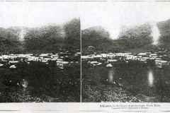 T-1900c_Adjuntas_FotoEstereo02