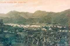 T-1900c_Adjuntas_vistaPueblohaciaOeste_ICP