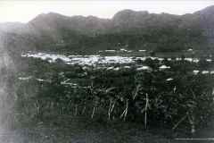 T-1910c_AdjuntasVistaaloesteMoscioniUPR