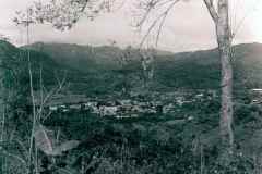 T-1959_Adjuntas_VistaPueblo_Toro