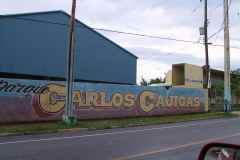 T-2002_Aguada_ParqueCajigas_NB