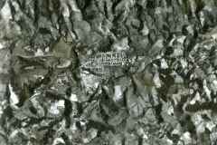 T-1937_Aerea1_AguasBuenas_DTOP