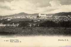 T-1900c_Aibonito_Panoramica_Postal_Costas