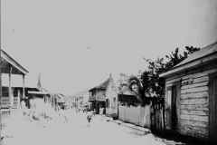 T-1904c_Aiboito_Calle_GraceHartzel_AGPR