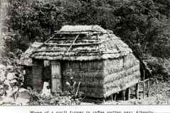 T-1914_Bohio_Aibonito_Bills_HousingConditions