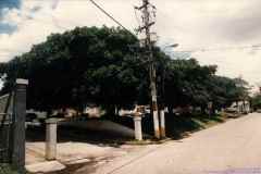 T-1996_025_Aibonito_Calle_ASR