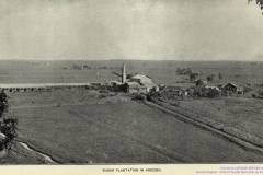 T-1899_Arecibo_SugarPlantation_Censo