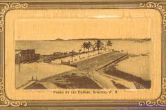 T-1900c_PaseoDamasArecibo_VV