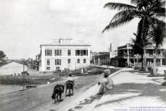 T-1910c_PaseoDamas_Arecibo_UPR