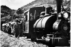 T-1940_TrenCentralLosCañosArecibo_RM