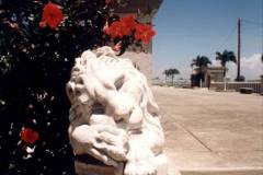 T-1996_038_Arecibo_ElFuerte_PasDamas_ASR