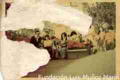 T-CJMGP284