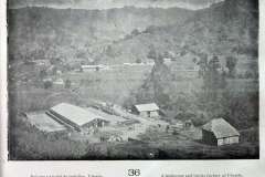 T-PS20210421094759